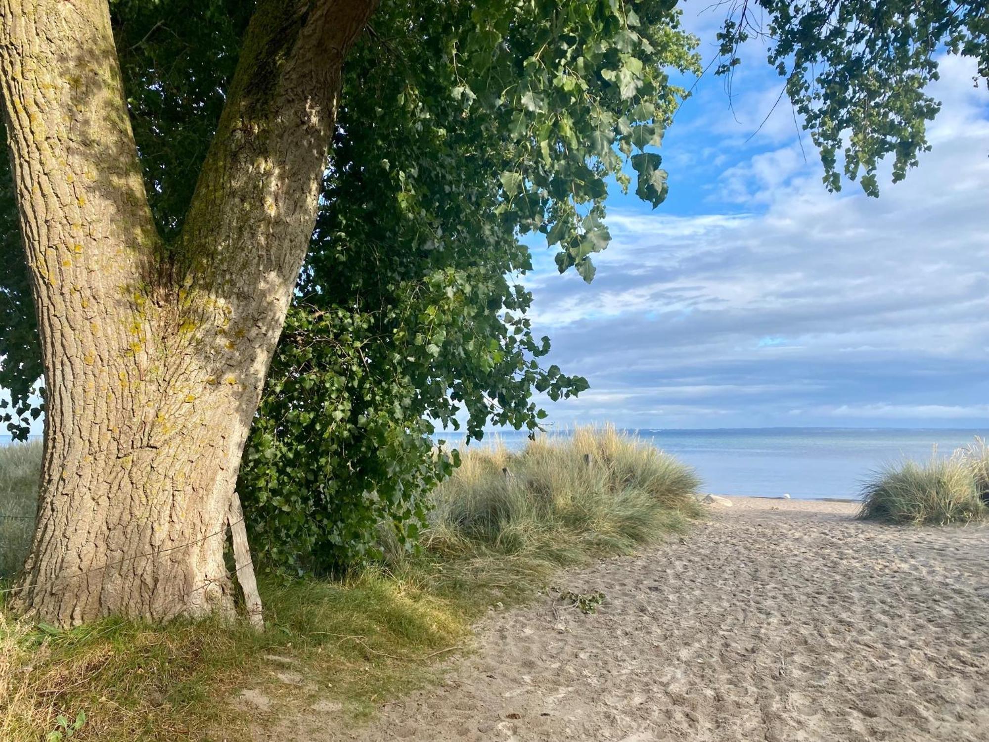 Feriendorf Suedstrand Haus 01 佩尔泽哈肯 外观 照片